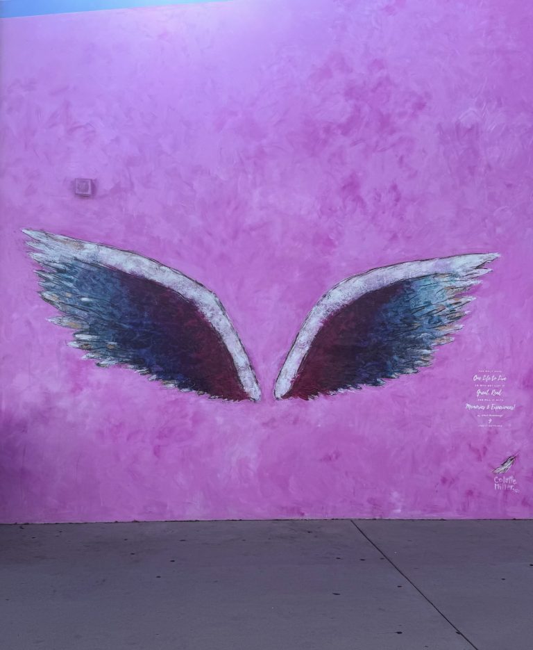 Wings of Unity, Solidarity & Amity